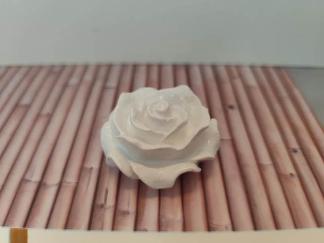 Rose blanche