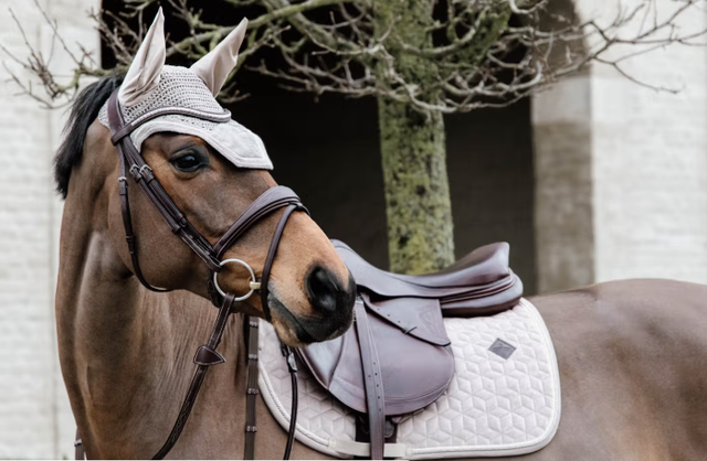 Tapis de selle Basic Velvet jumping