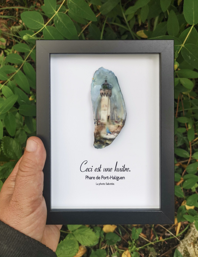13x18 : Ceci est une huitre "Phare de port Haliguen" a