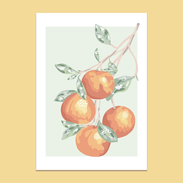 Les oranges 🍊 