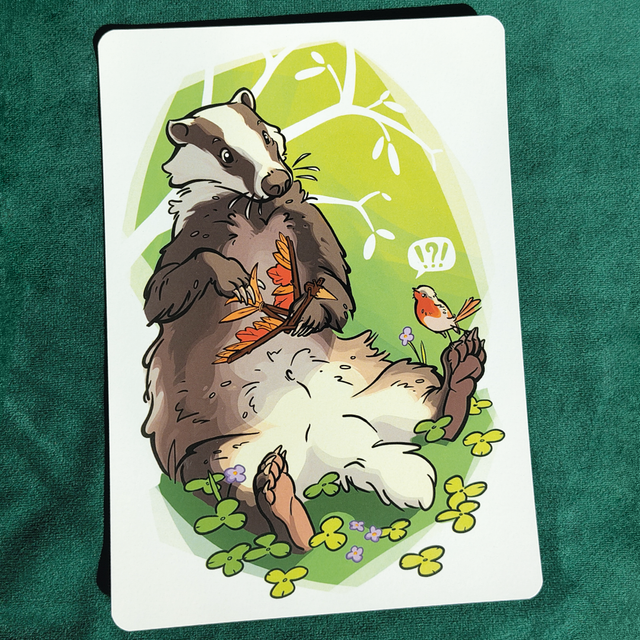 A5 - Cuicui le Rouge-gorge rencontre : Le Blaireau 