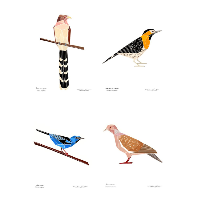 Conjunto de reproduções "AVES BRASILEIRAS - série 4 (Inhotim) "