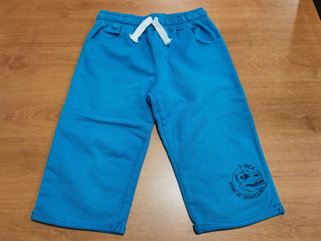 Short bleu / dino en 12 ans