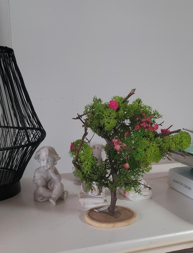 a.Mini arbre naturel  18 cm