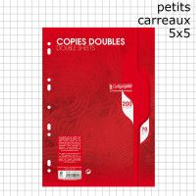  200 pages copies doubles A4 petits carreaux 70g Perforées 3210330056166