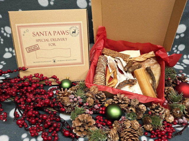 Christmas Treat Box - Natural Treats