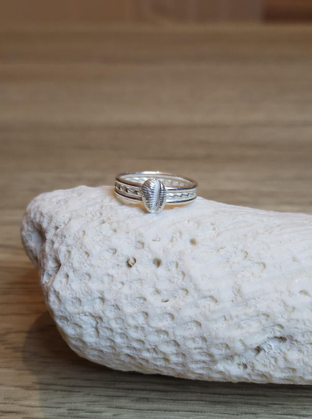 Cowrie shell on triple band ring