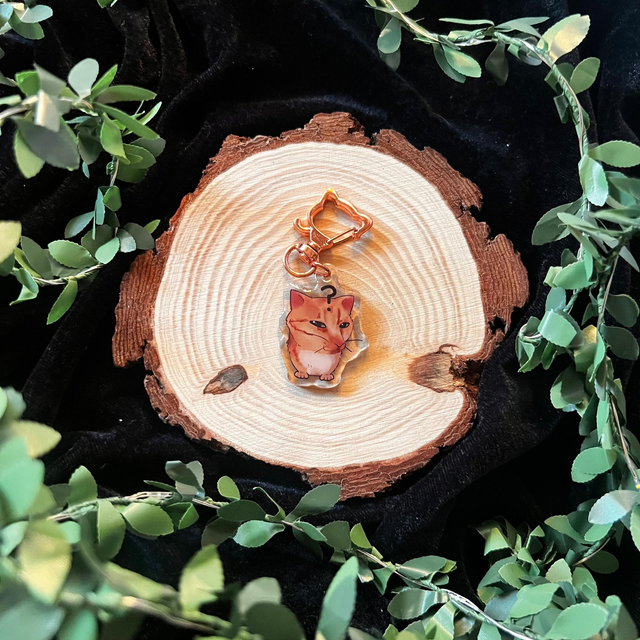 Llavero Gato // gato ?