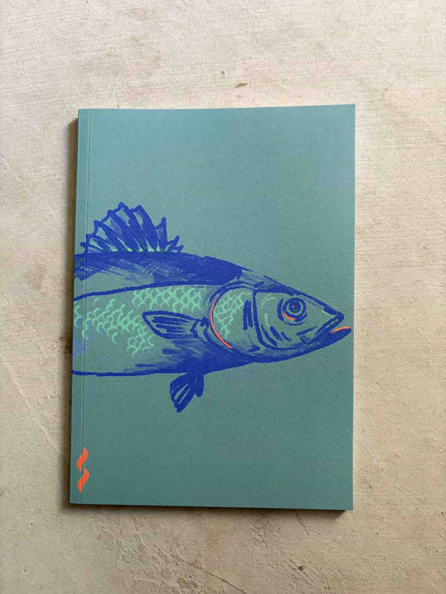 Carnet - notebook / Bar bleu vert - Bleu green sea bass