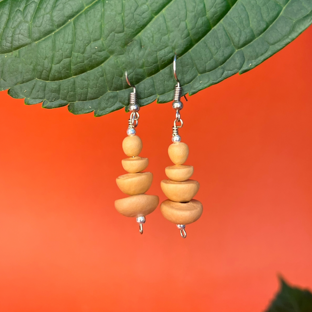 Brinco Escamas Pequeno Prata