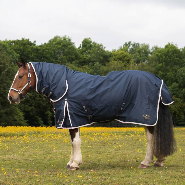 Gallop Trojan 50g Combo Duraproof Turnout Rug