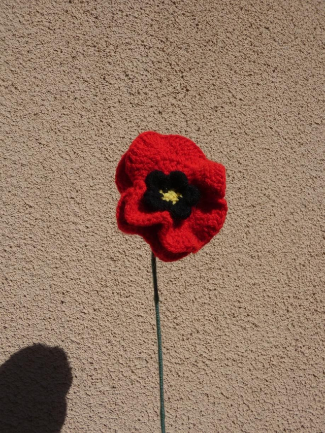 Coquelicot
