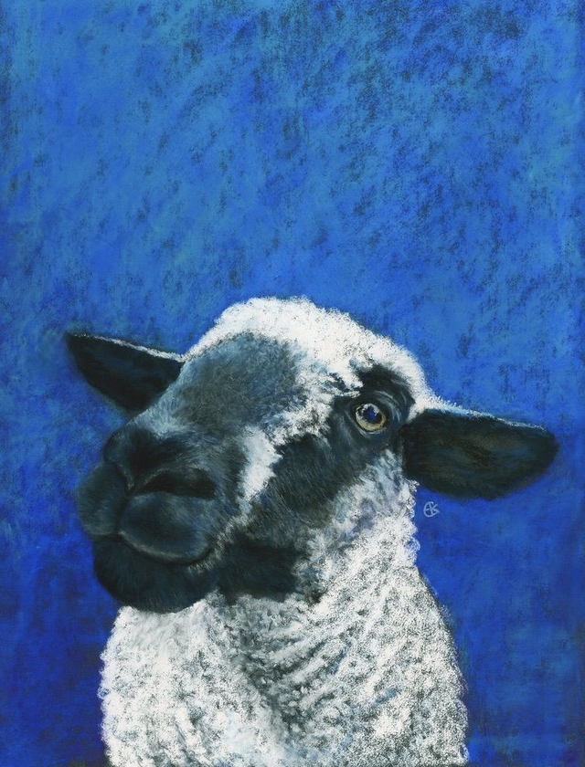 Greeting Card 'ZUSSIE'  (Flappus) 