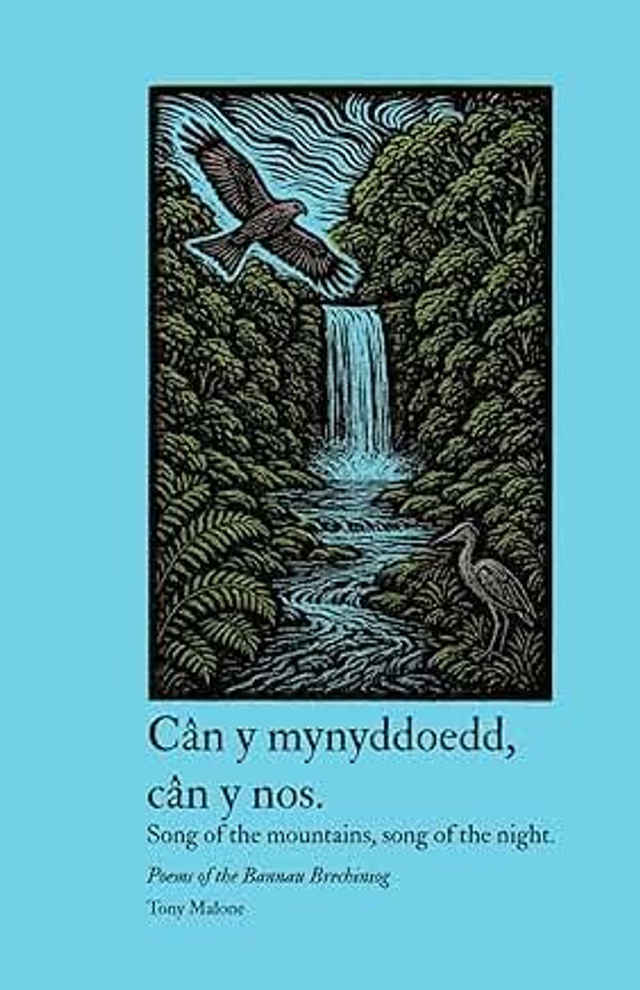 Song of Mountain, Song of Night