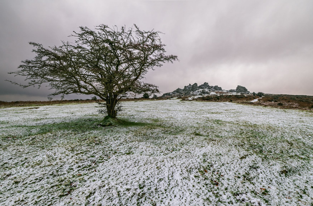 Hound Tor - Dartmoor, Devon. A6 photographic greeting card. Blank inside for your own message.