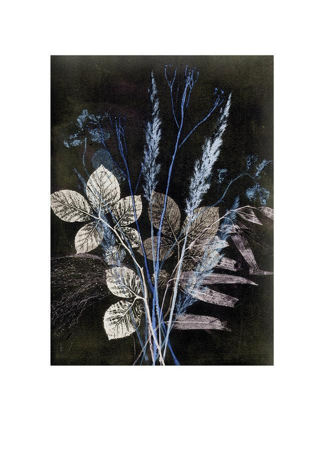 BotanikDruck Wilder Pflanzenstrauß