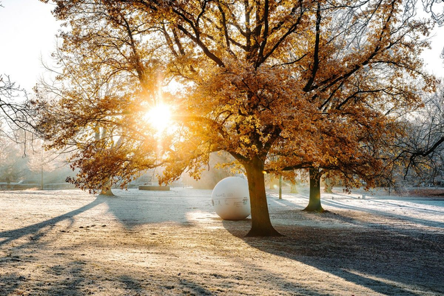 Aaseekugeln in der Wintersonne