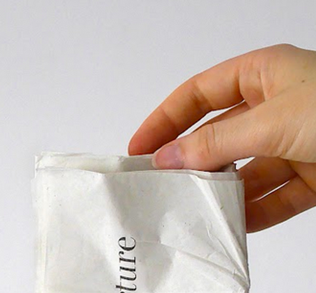 GEMINI 2025 - Flore Saunois