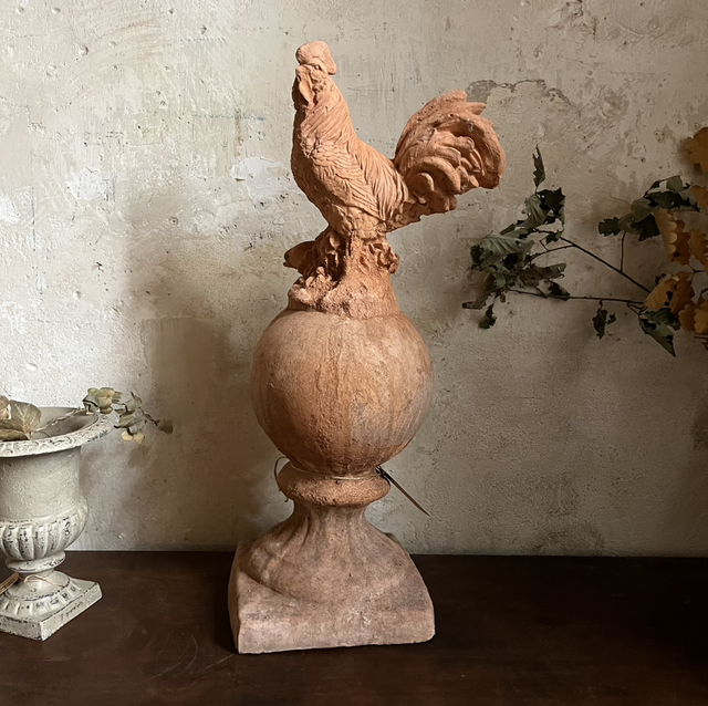 Coq Terre Cuite