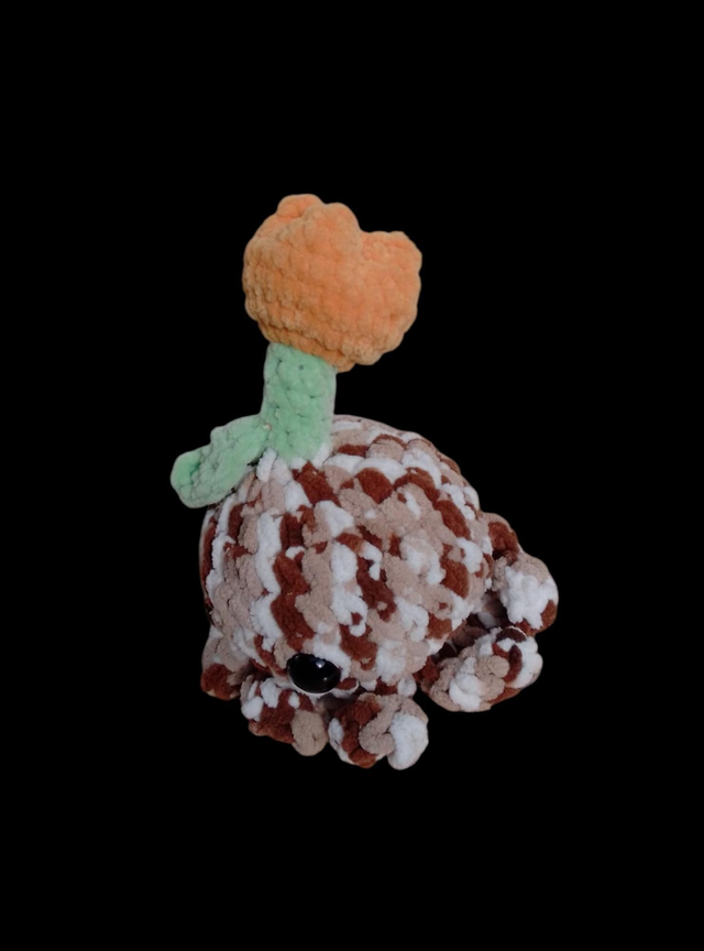 Poulpe tulipe
