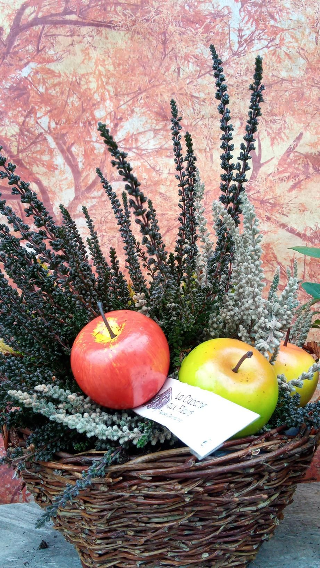 CORBEILLE BRUYERE TRIO