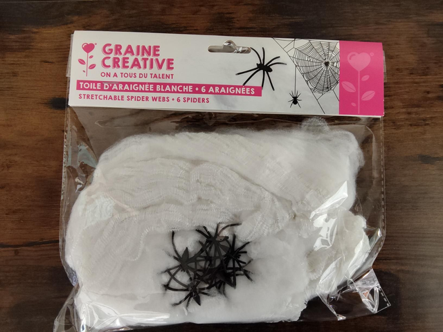 Toile d&#039;araignée+ 6 araignées