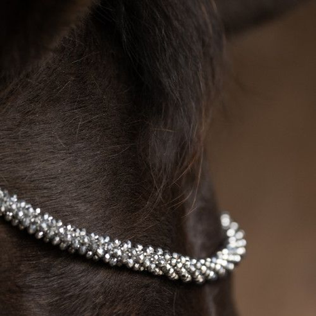 ProPresicce Signature Crystal Diamante Browband 