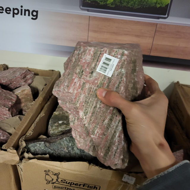 Sf Scapers rock snowyred bloom 2.8-3.5kg 8715897350191