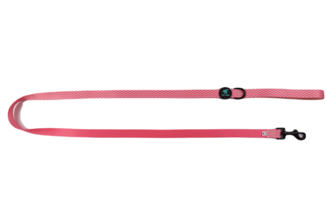 Pink Leash (Lupi Paws)