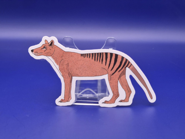 Thylacine