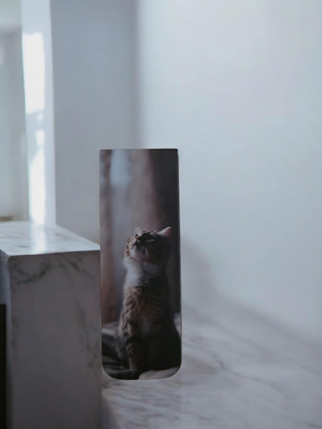 Marque Page  " Collection Ronron " 4