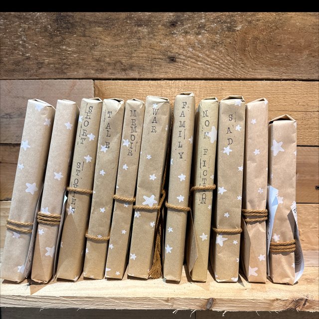 Mystery Short Paperback Book 