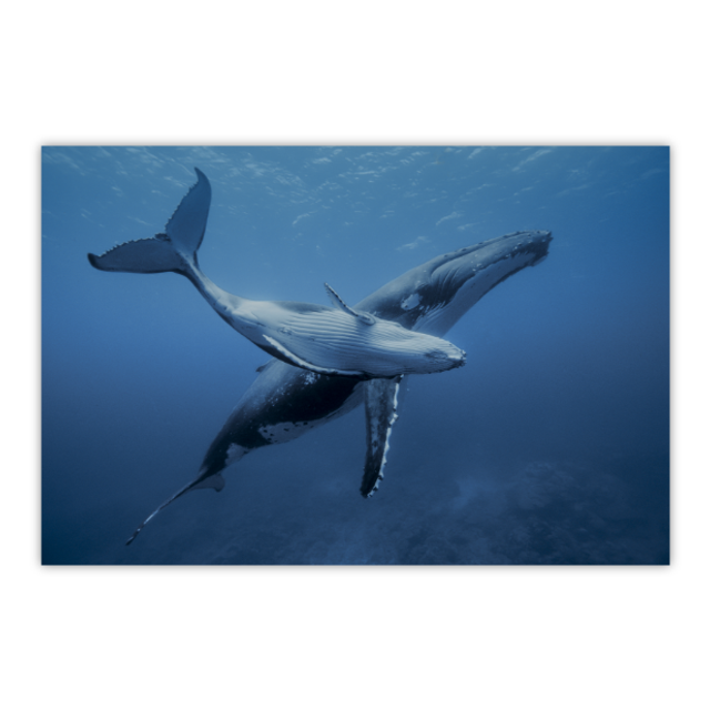 Le jeux de la virgule 