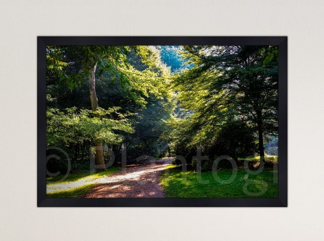 Walk to Peace - limited edition poster print