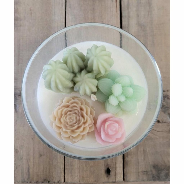 Bougie terrarium Aloe Vera