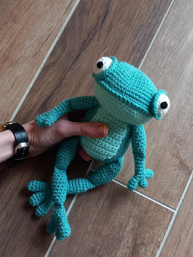 Grenouille vert bleuté