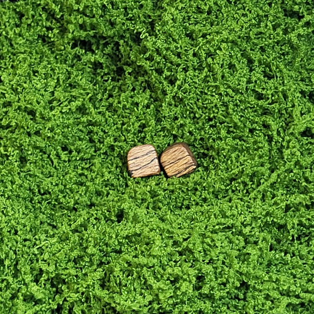 Néxa Hêtre échauffé