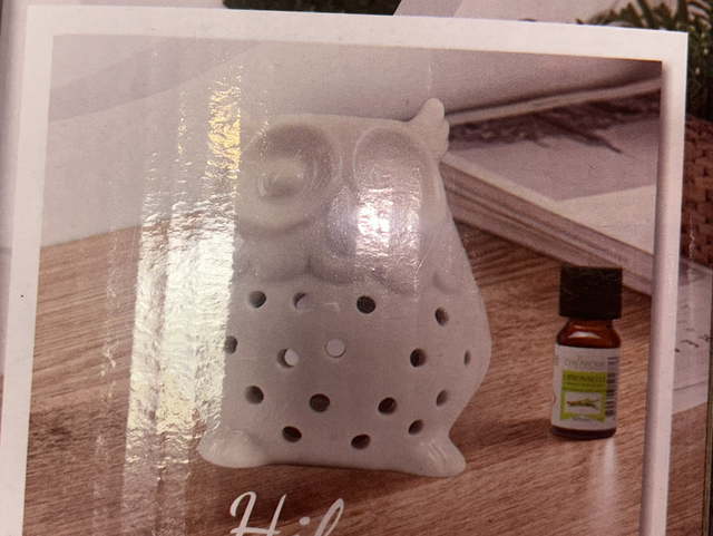 Brûleur Hibou 