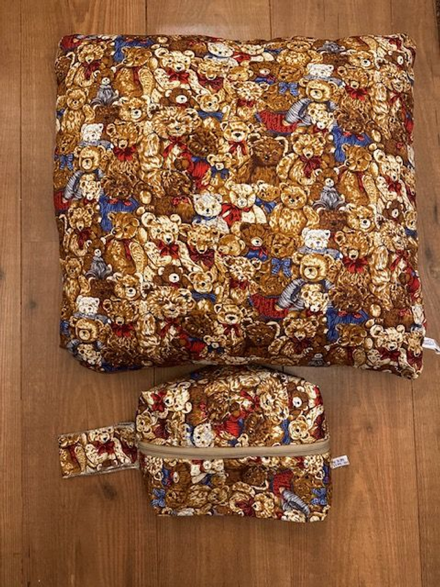 teddy bear pillow + medium size bag 