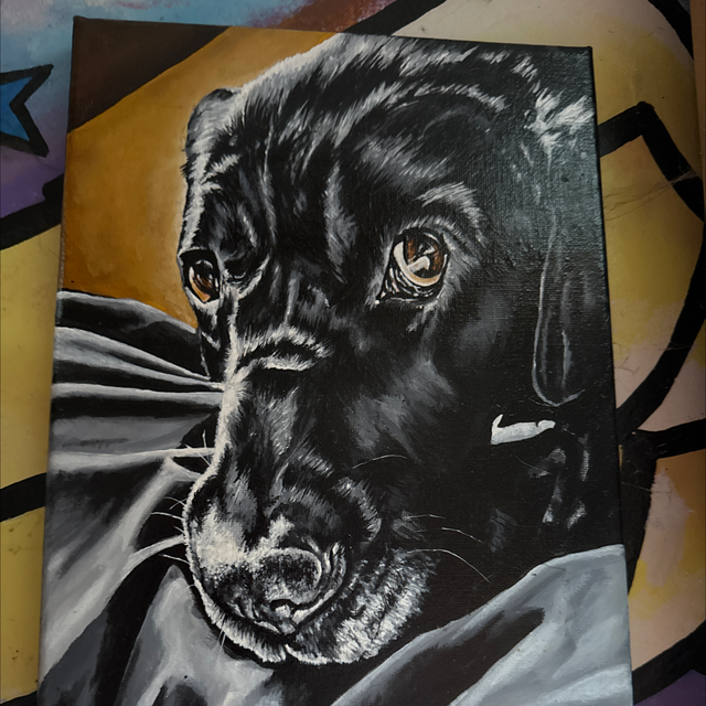 Black Lab Limited Edition Print 