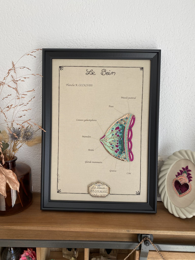 Planche anatomie du sein bleu