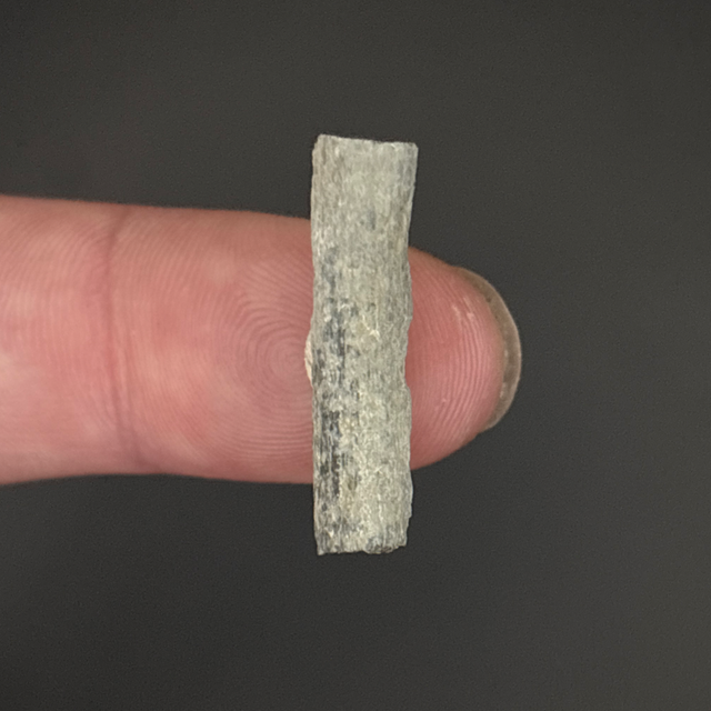 Ichthyosaur Rib Fragment 