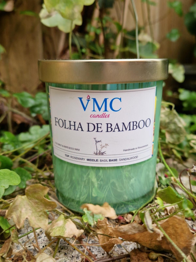 Limited Brazilian Collection - Folha de Bamboo