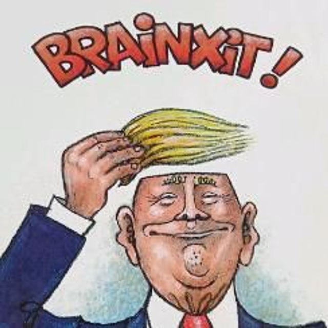 BRAINXIT!