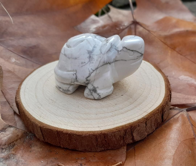Tortue Howlite 5 cm