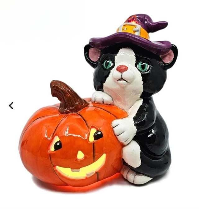 Cat with pumpkin lantern