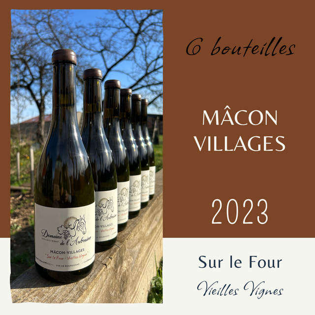 6 Btes Sur le Four 2023