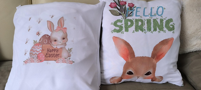 Housse de coussin 