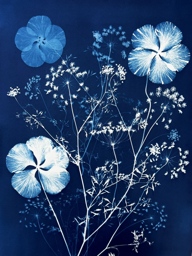&quot;Merveilleux jardin&quot; Cyanotype original 