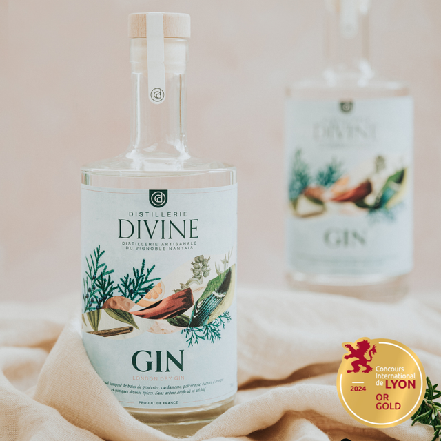 Gin London Dry - Épicé